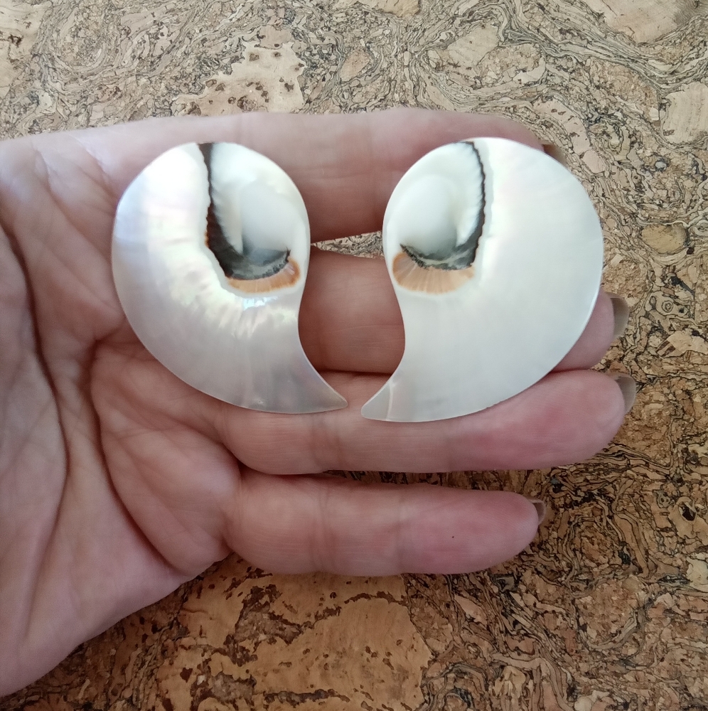 Spiral Sea Shell Statement Pierced Earrings